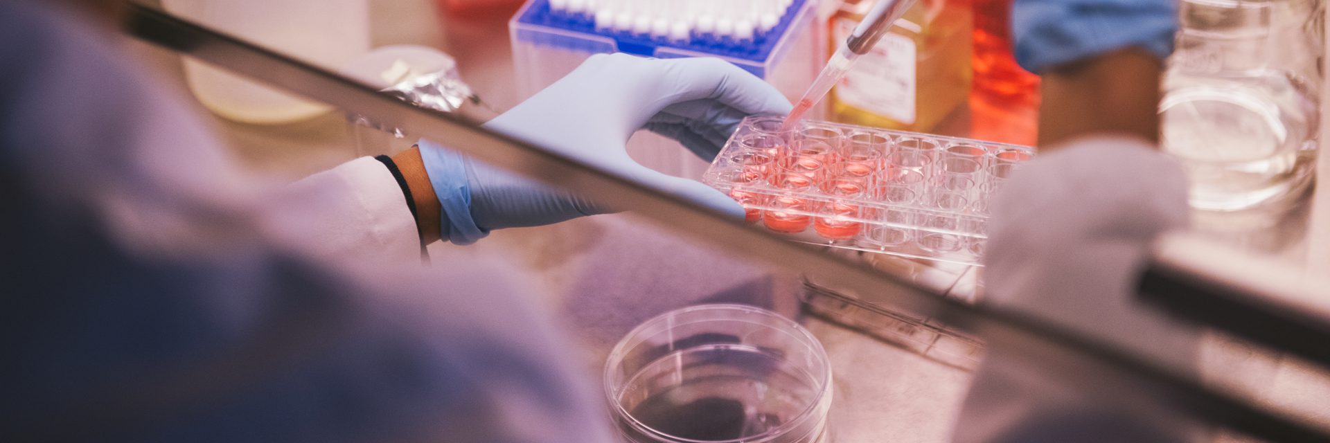 Photo of lab experiments.