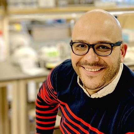 Could COVID-19 Impact Male Fertility? MWRI Researcher is Investigating
