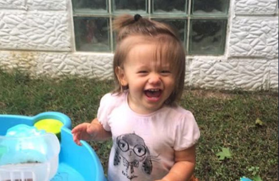 Photo of a happy, healthy Lily.